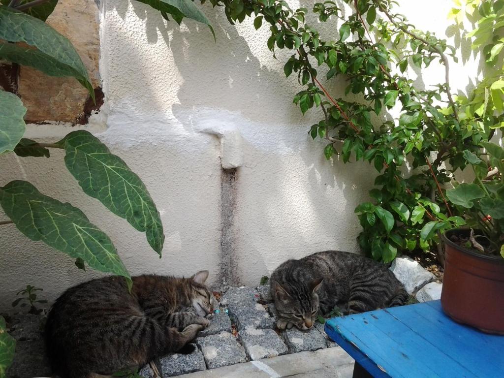 Bozcaada Su Hotel Dış mekan fotoğraf